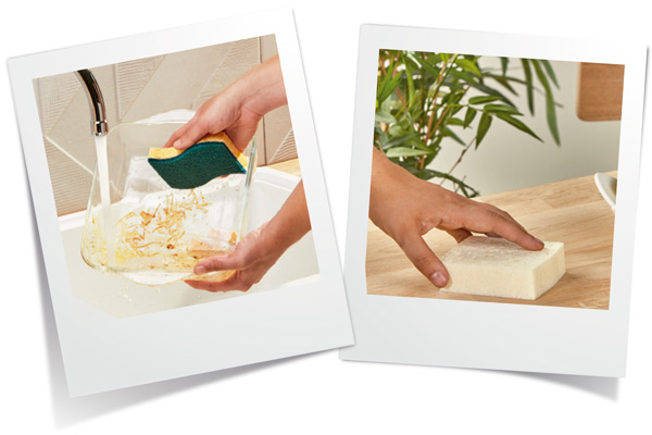 Eco Base Info Box 04