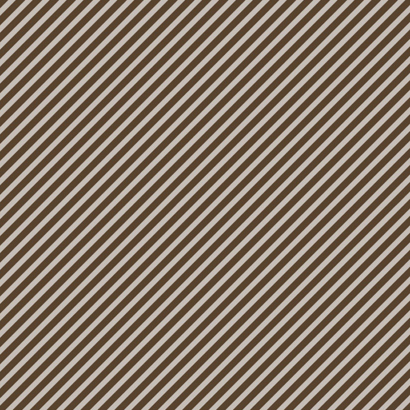 Siena Cocoa